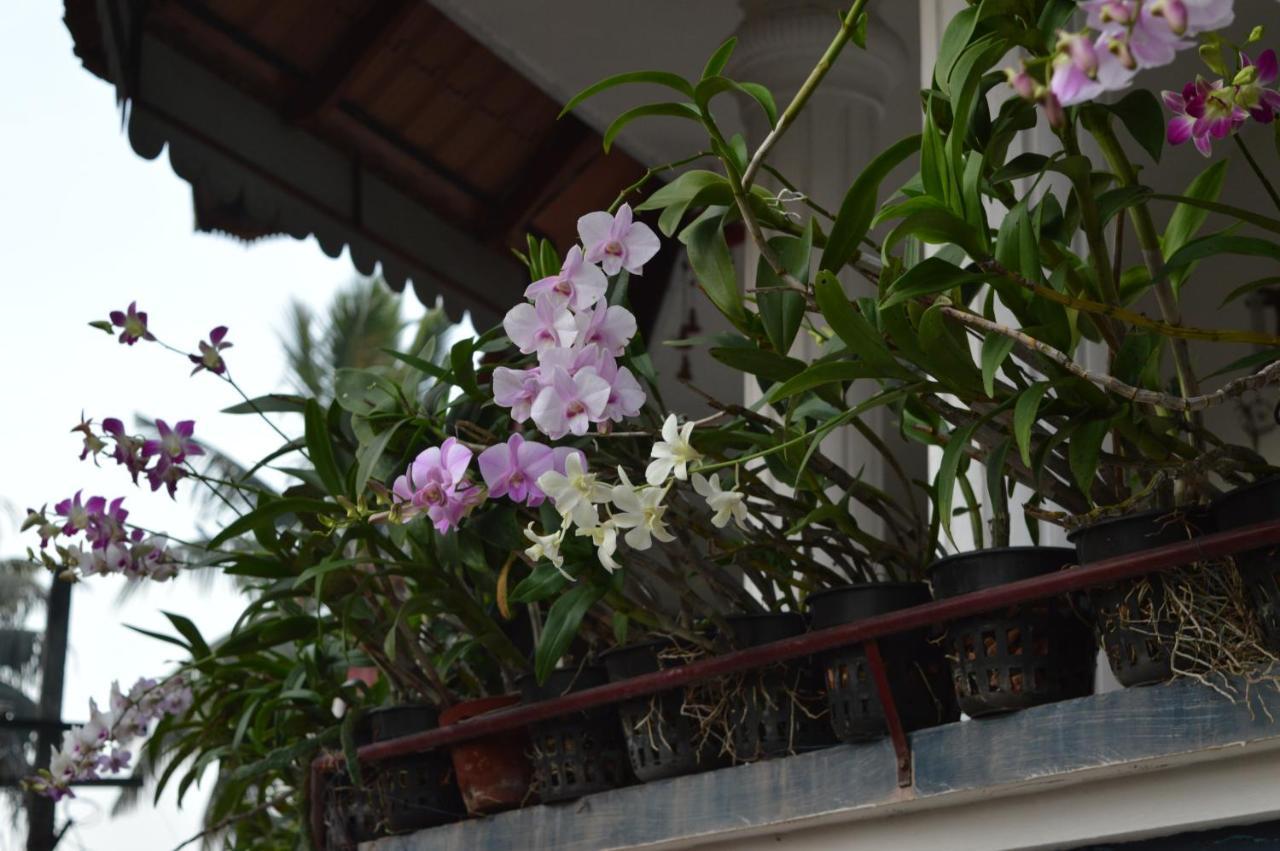 Dream Catcher Home Stay Kochi Екстер'єр фото