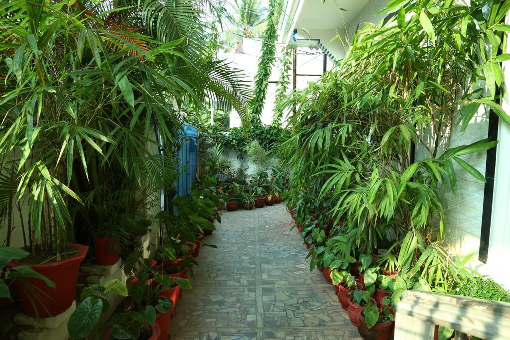Dream Catcher Home Stay Kochi Екстер'єр фото
